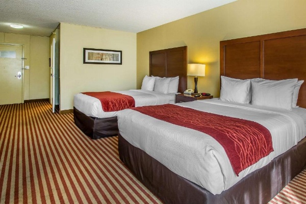 Comfort Inn & Suites Kissimmee By the Parks image 10